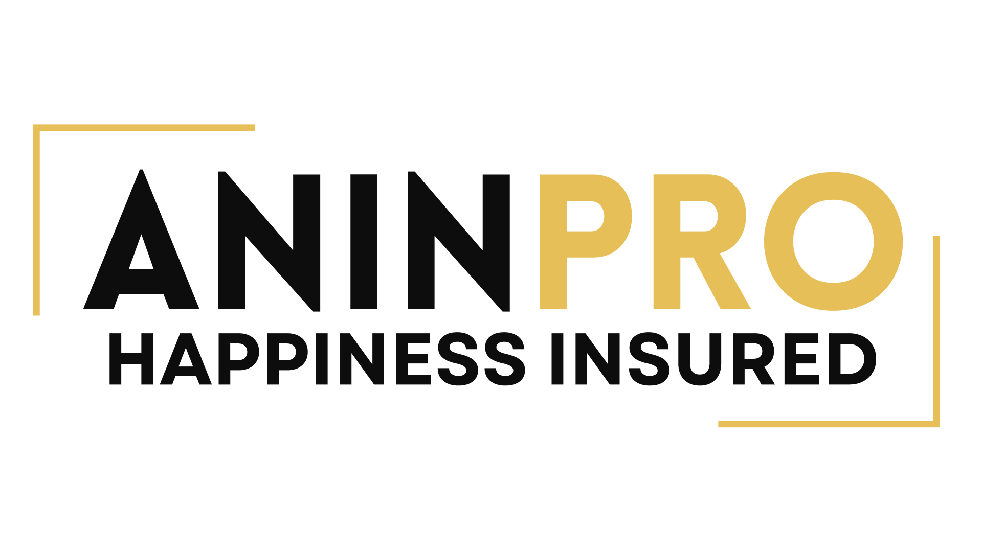 Logo Aninpro